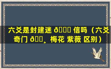 六爻是封建迷 🐎 信吗（六爻 奇门 🕸  梅花 紫薇 区别）